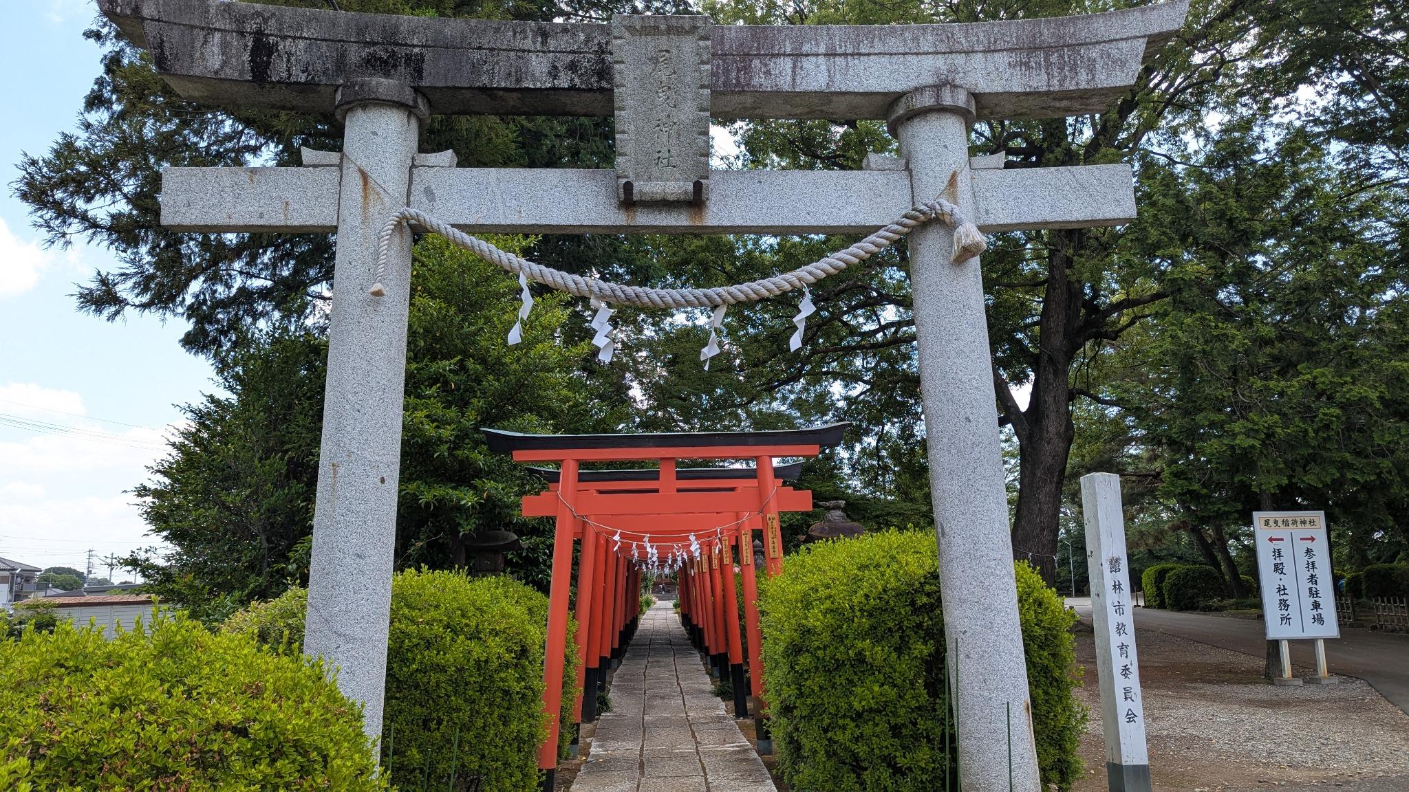 Rows of torii gates along a shrine approach.